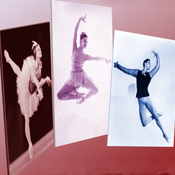 Dance Collections